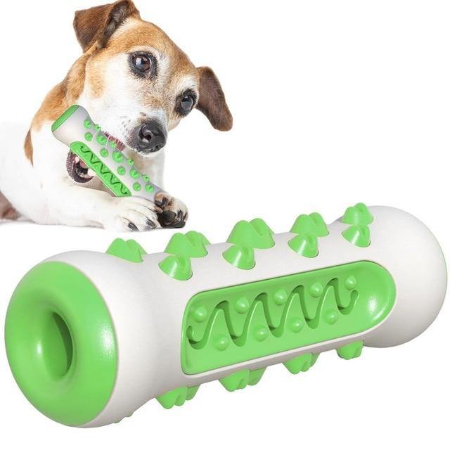 Molar Chewy Toy Toothbrush - The Bark ¡®n¡¯ Paws