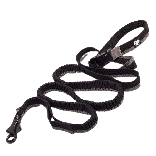 Elastic Bungee Dog Rope Leash