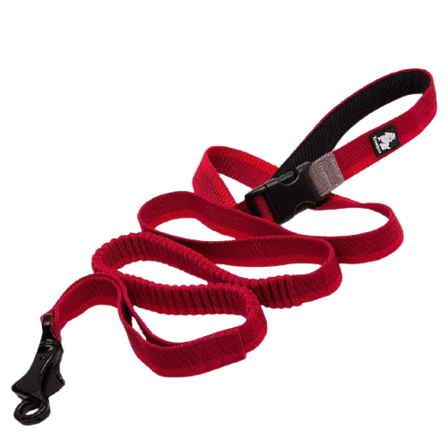 Elastic Bungee Dog Rope Leash
