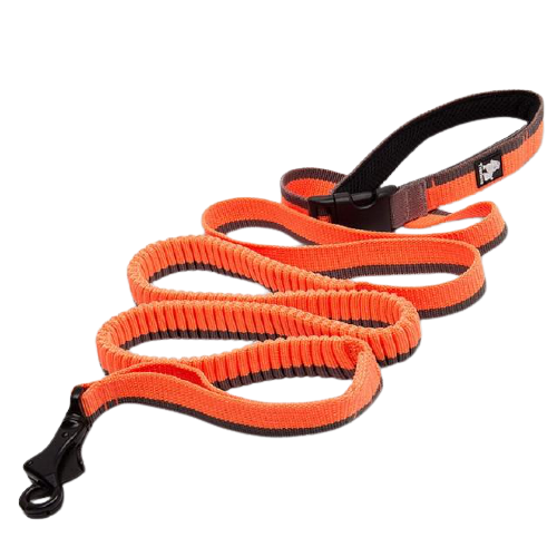 Elastic Bungee Dog Rope Leash