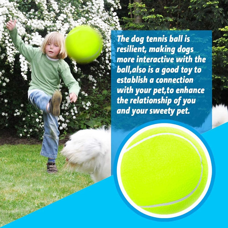 Inflatable Big Tennis Ball Dog Toy