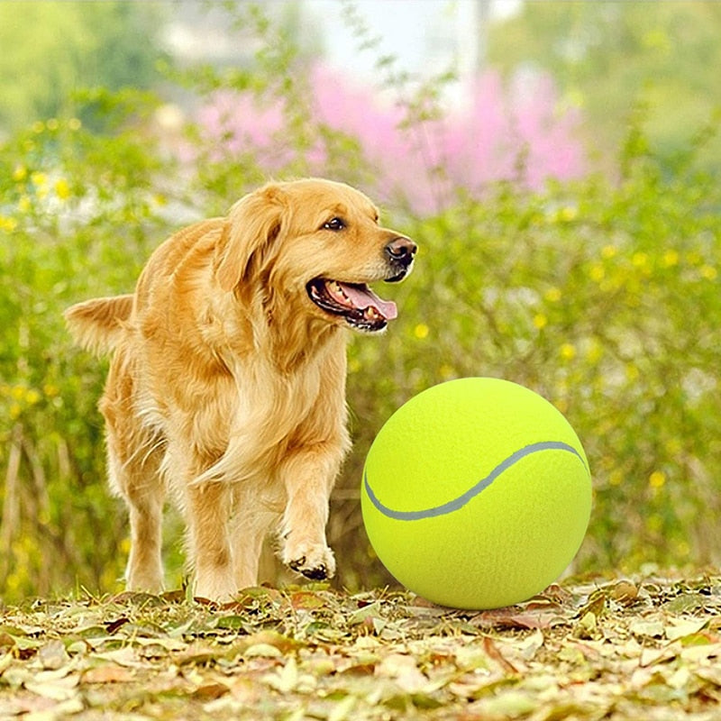 Inflatable Big Tennis Ball Dog Toy