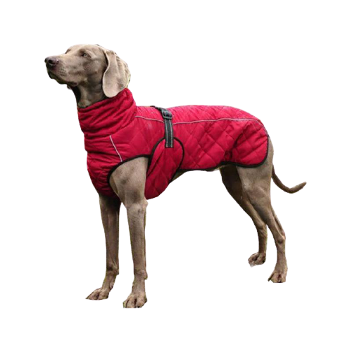 Waterproof Large Dog Winter Jacket