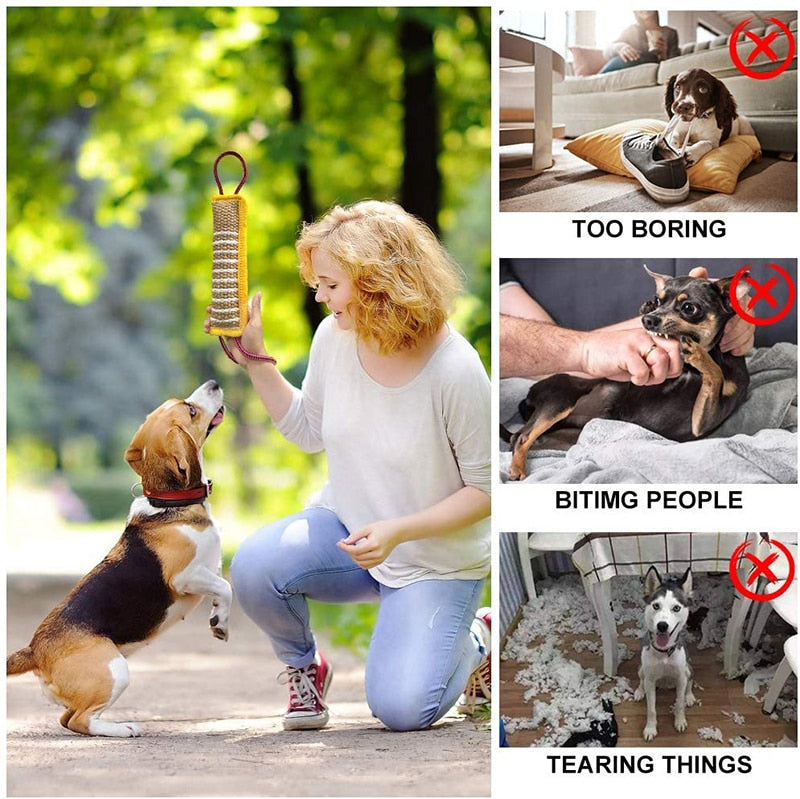 Strong Handles Durable Dog Tug Toy