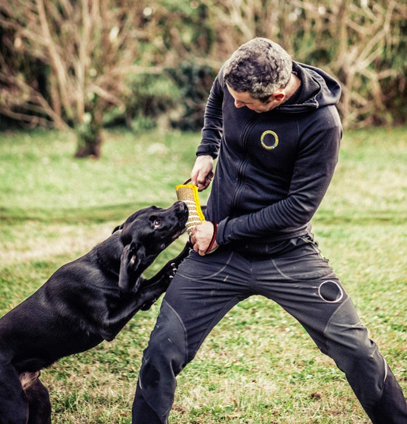 Strong Handles Durable Dog Tug Toy