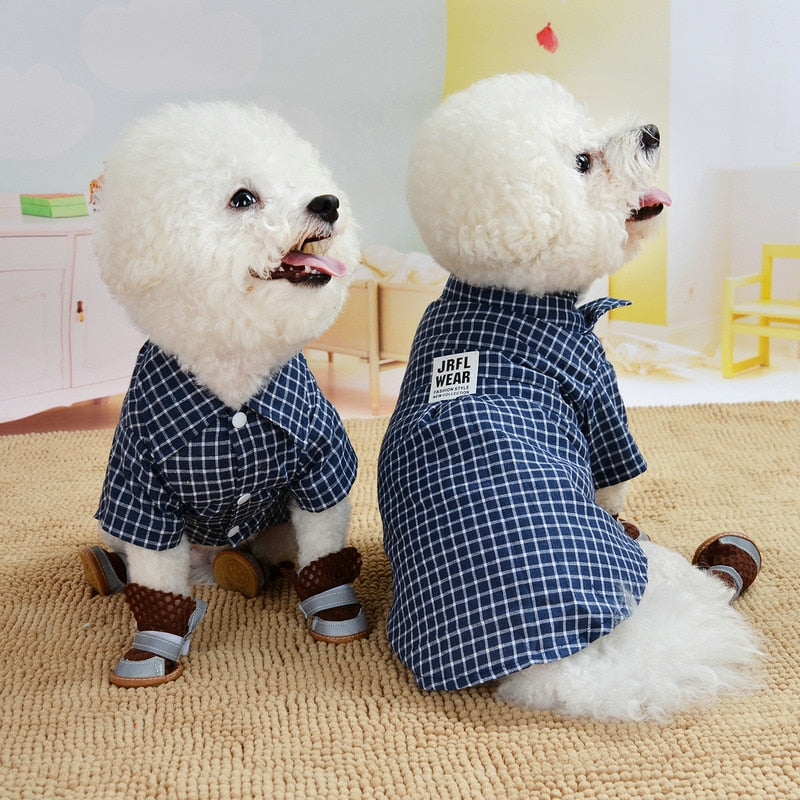 Plaid Dogs Classic Apparel