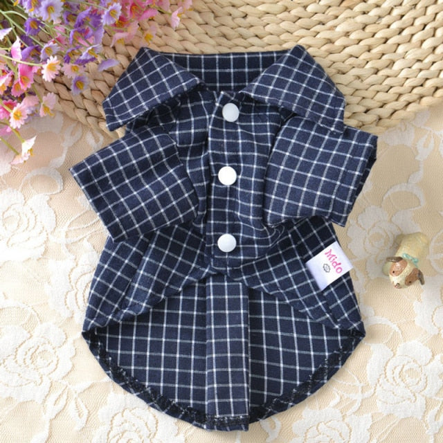 Plaid Dogs Classic Apparel