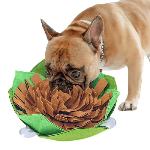 Creative Dog Maze Snuffle Mat - Bark ‘n’ Paws