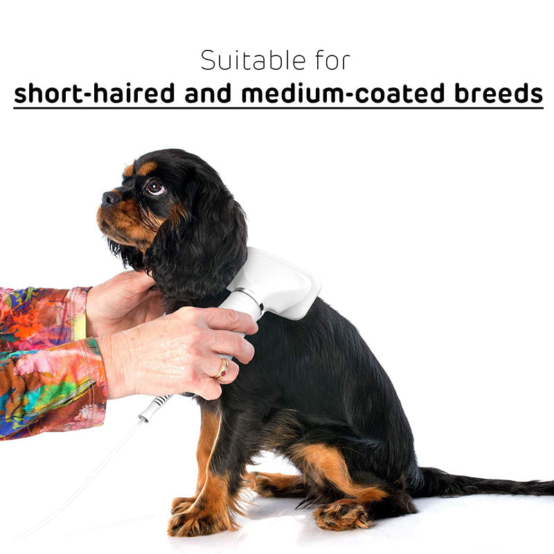 2 In 1 Dog Dryer Hair Brush