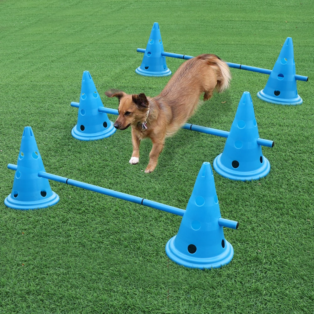 3 Set Dog Hurdle Training Cones