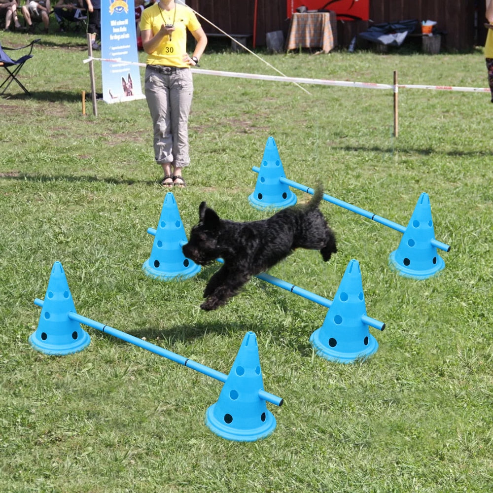 3 Set Dog Hurdle Training Cones
