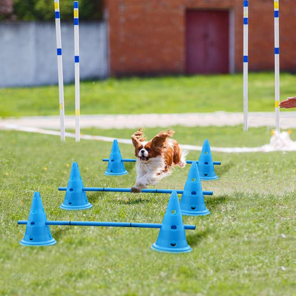 3 Set Dog Hurdle Training Cones