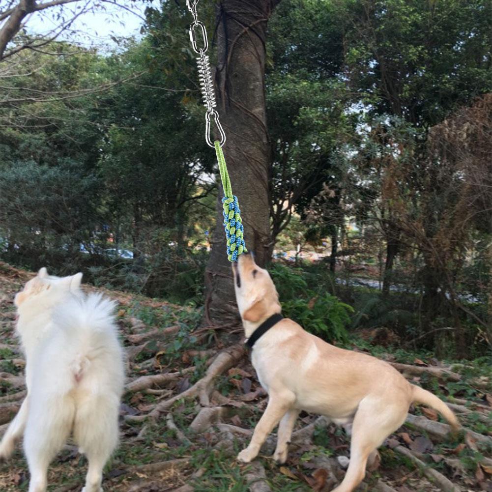 Stainless Steel Spring Pole Dog Toys