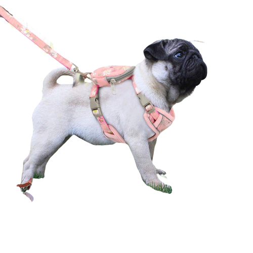 Puppy Dog Harness With Leash