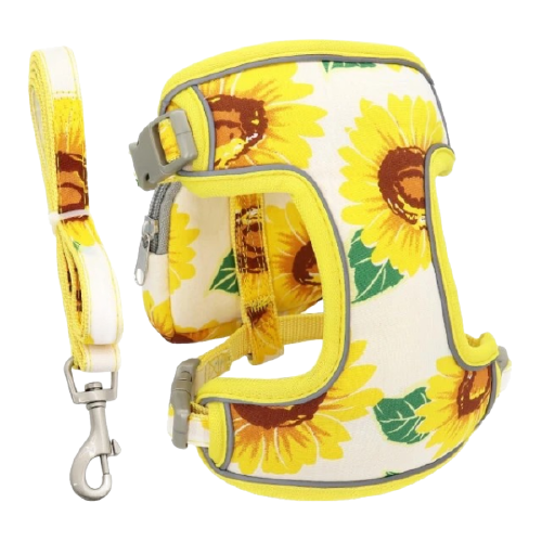 Puppy Dog Harness With Leash