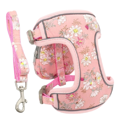 Puppy Dog Harness With Leash