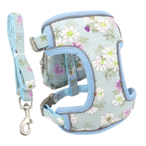 Puppy Dog Harness With Leash