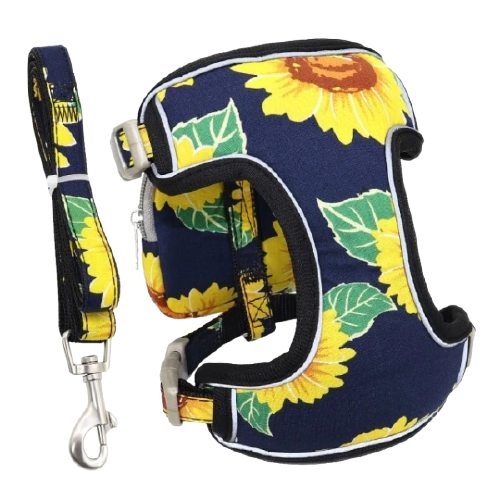 Puppy Dog Harness With Leash