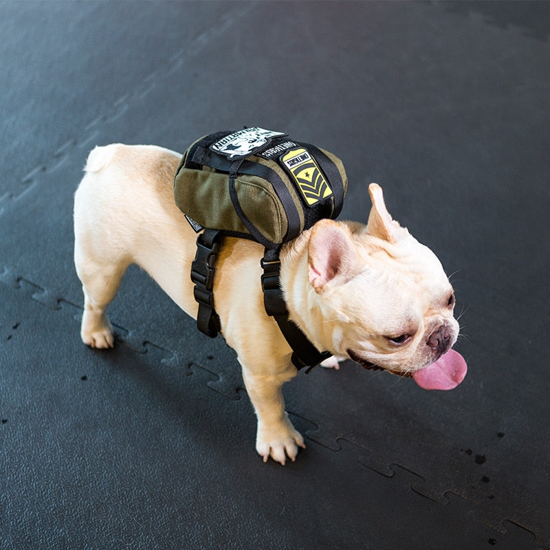 Eureka K9 Small Dog Outdoor Backpack