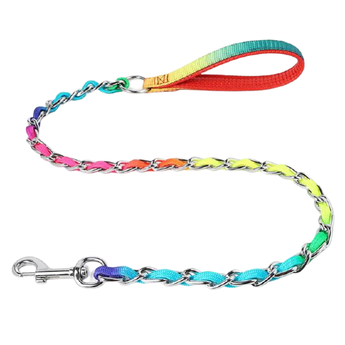 Stainless Steel Dog Collar Lead Set