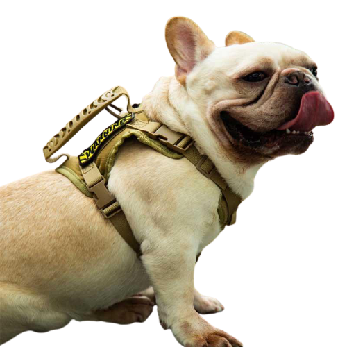 Tactical Dog Training Military Harness