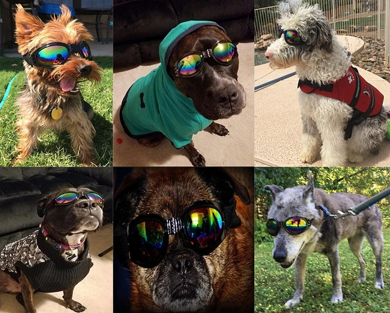 UV Protection Dog Goggles