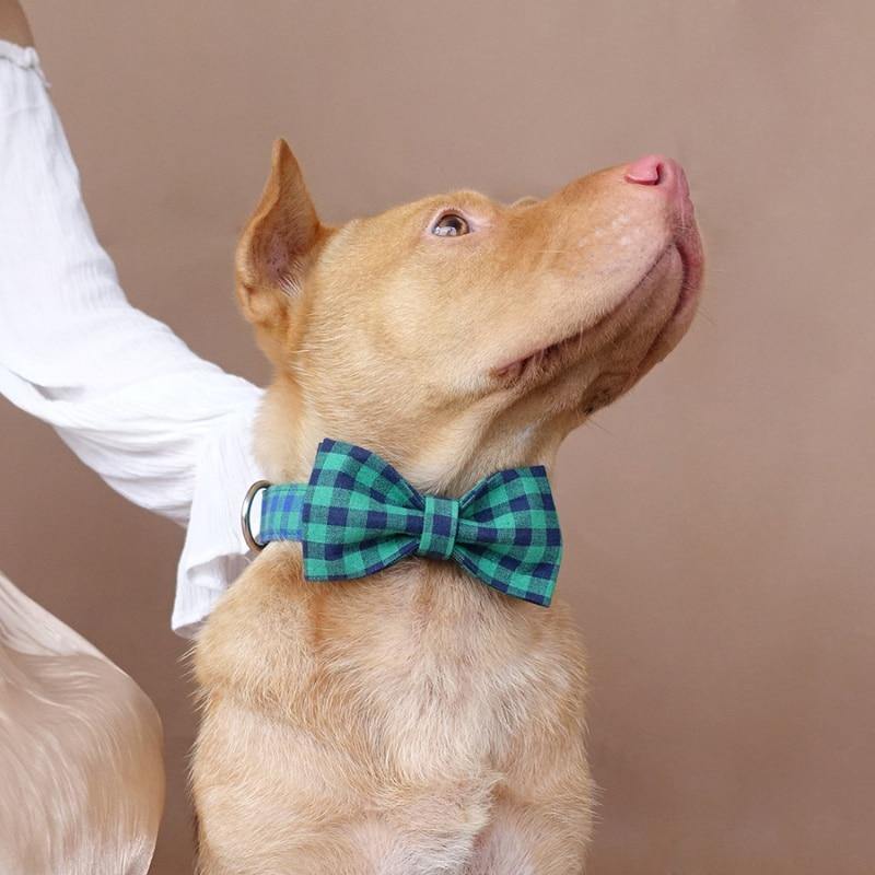 Personalized Dog Bow Tie Collar - Bark ¡®n¡¯ Paws