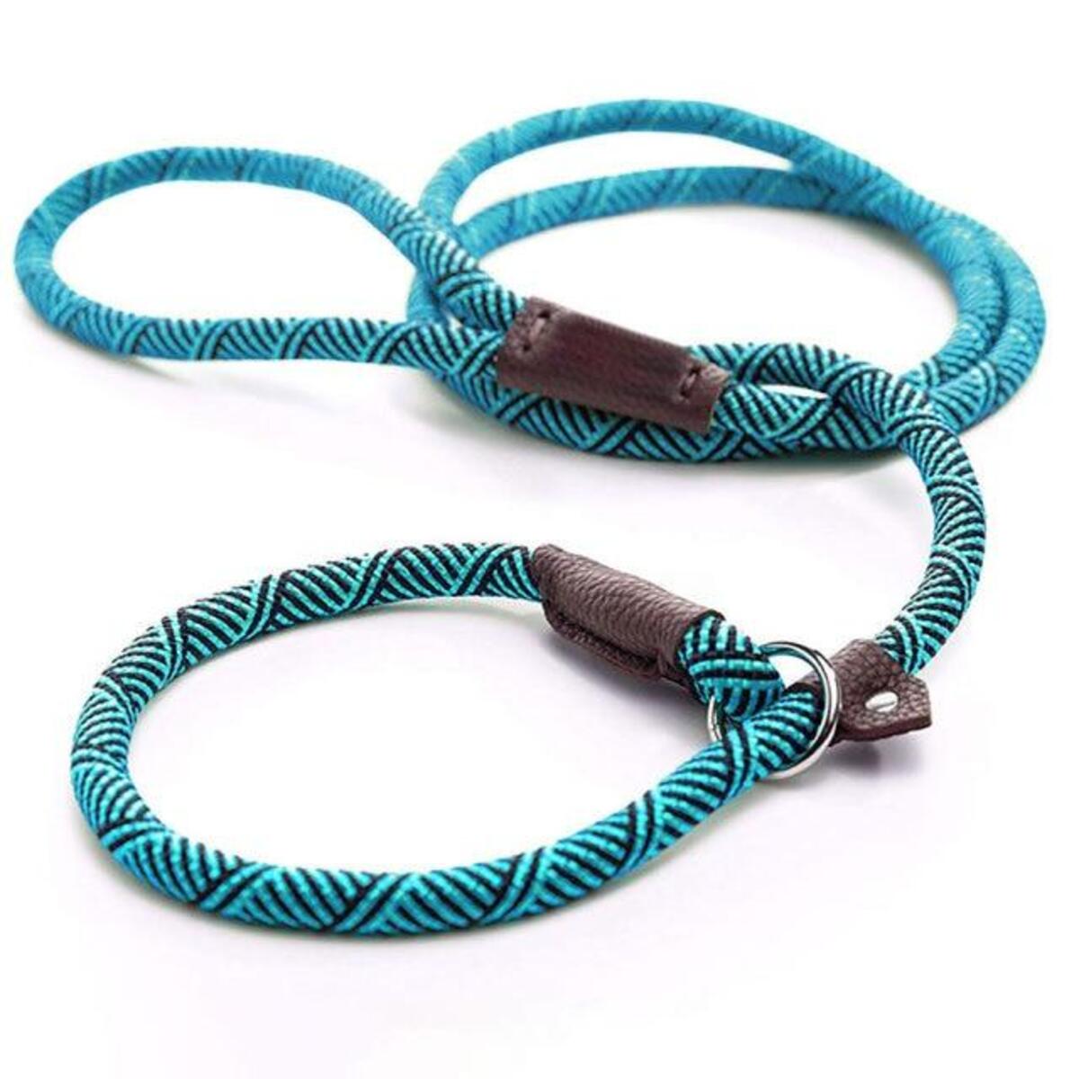 Durable Dog Slip Rope Leash