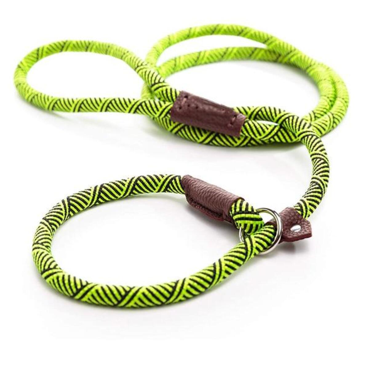 Durable Dog Slip Rope Leash