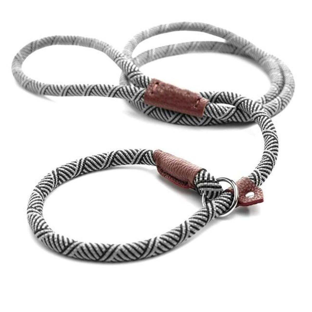 Durable Dog Slip Rope Leash