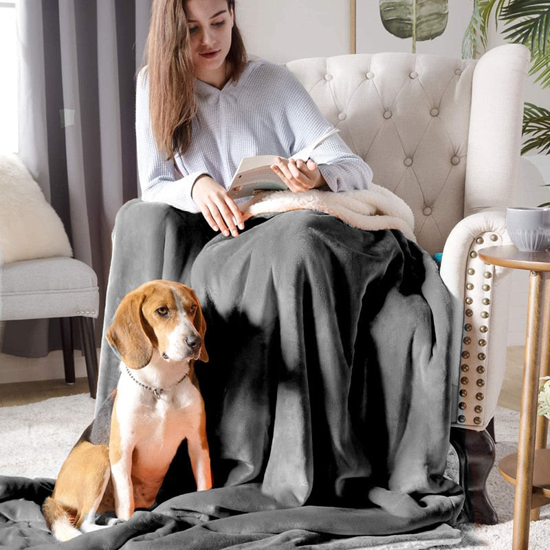 Cozy Reversible Dog Blanket