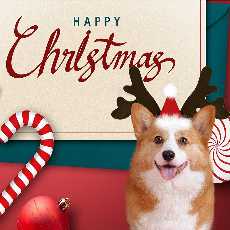 Christmas Reindeer Antlers Dog Hat