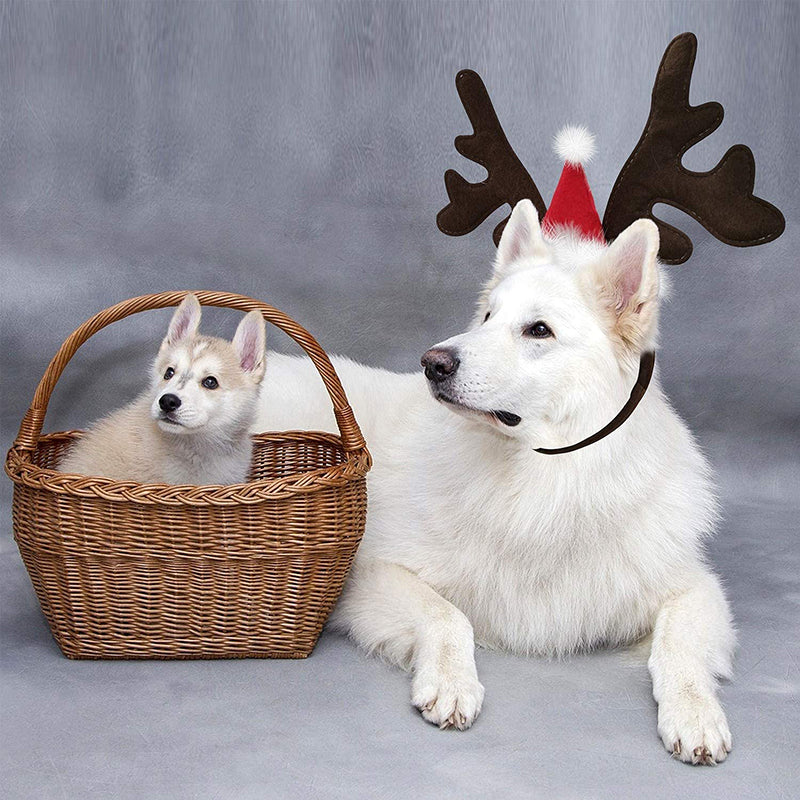 Christmas Reindeer Antlers Dog Hat