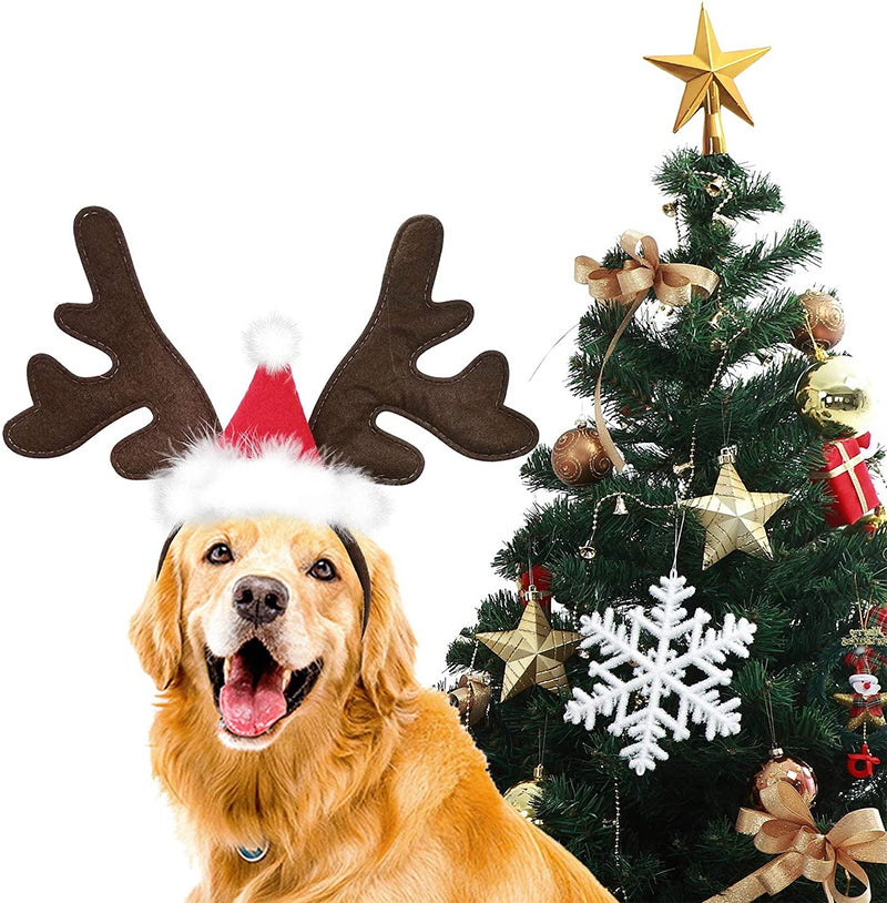 Christmas Reindeer Antlers Dog Hat
