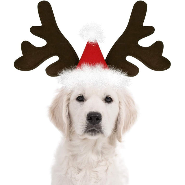 Christmas Reindeer Antlers Dog Hat