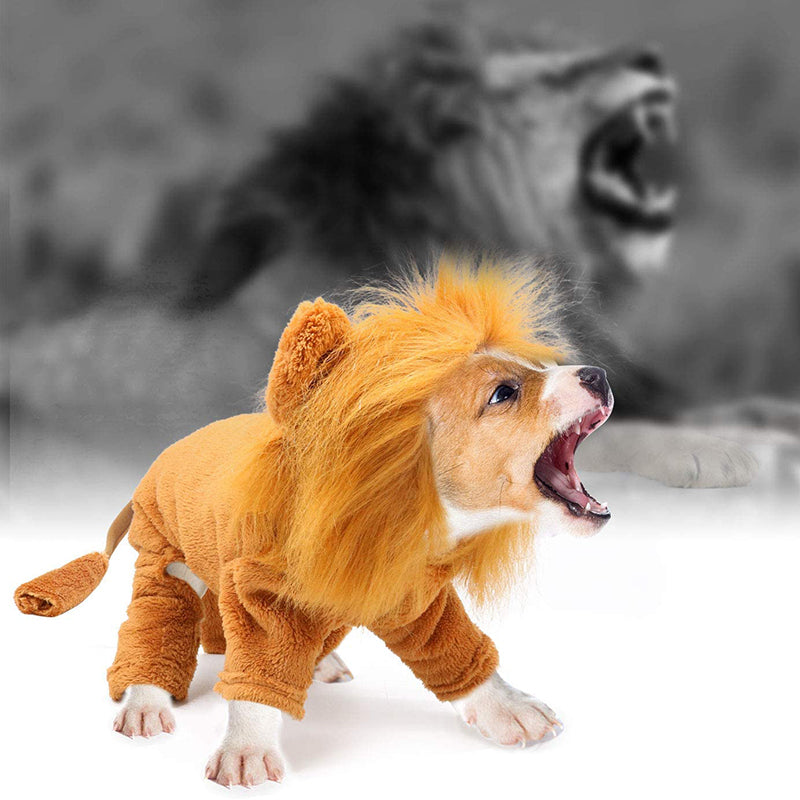 Cozy Lion Dog Hoodie Cosplay Costume