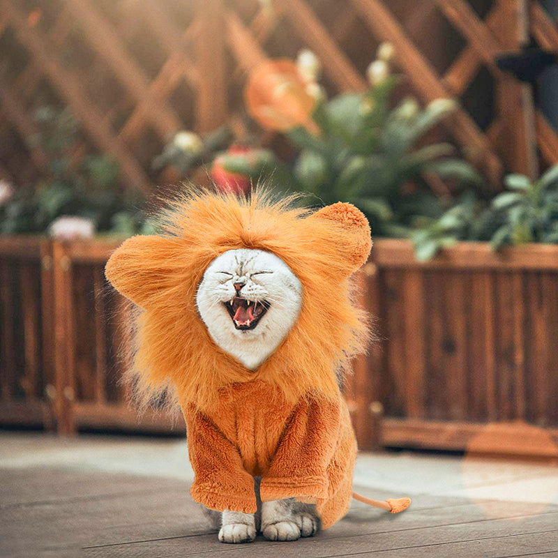 Cozy Lion Dog Hoodie Cosplay Costume