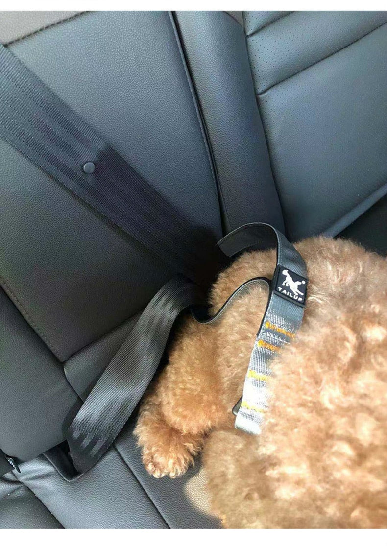 Durable Pet Dog Leash Car Seat Belt