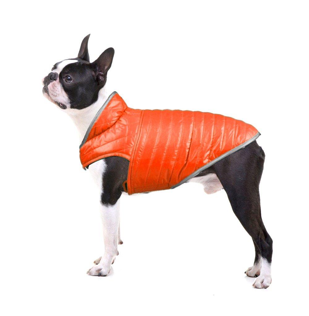 Reversible Small Dog Down Jacket - Bark ¡®n¡¯ Paws