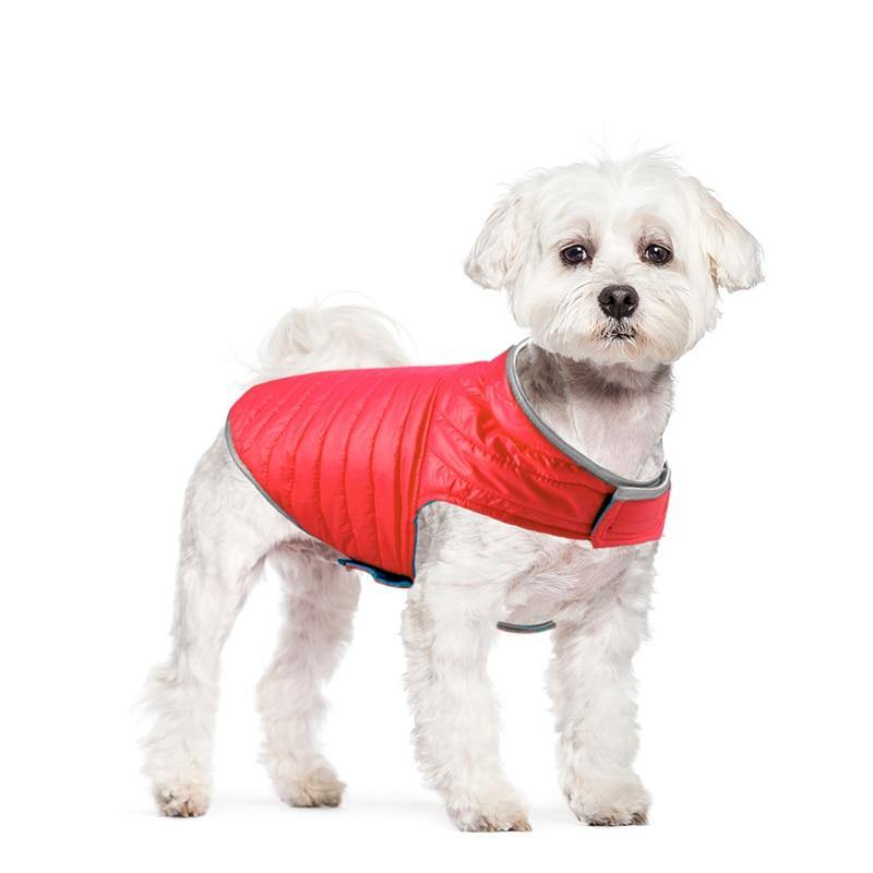 Reversible Small Dog Down Jacket - Bark ¡®n¡¯ Paws