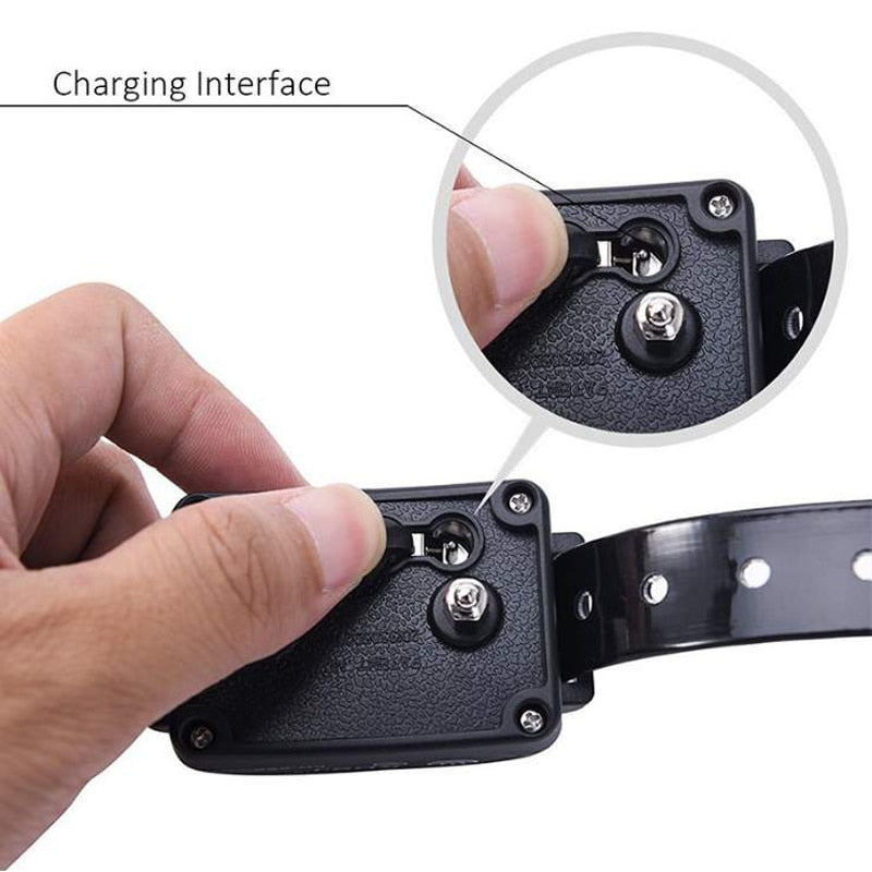 Electronic Fencing Dog Training Collar
