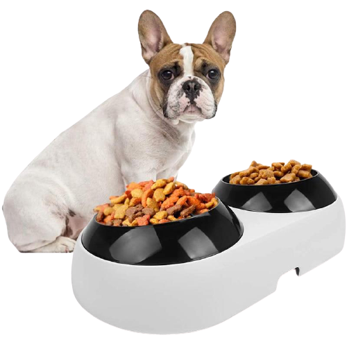 Safe Slanted Durable Dog Bowl