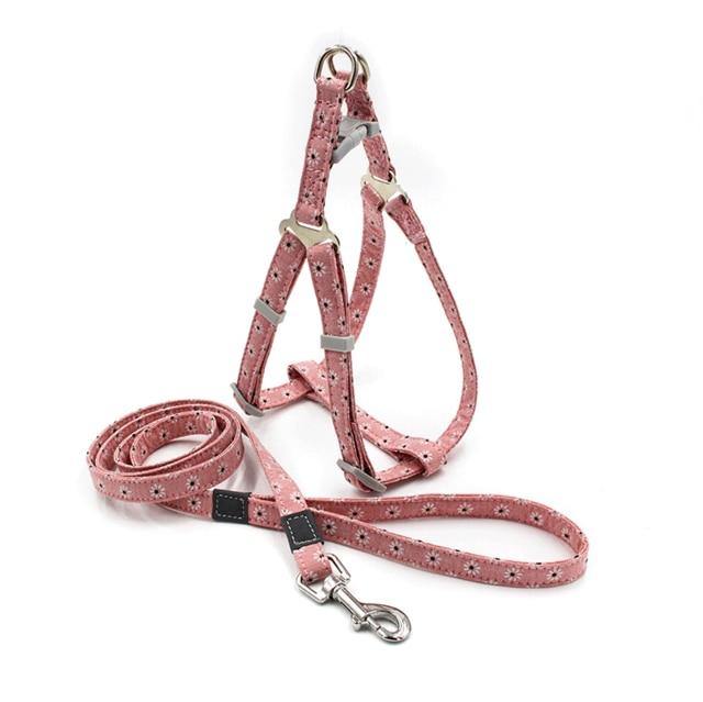 Reflective Nylon Dog Harness & Lead - Bark ¡®n¡¯ Paws