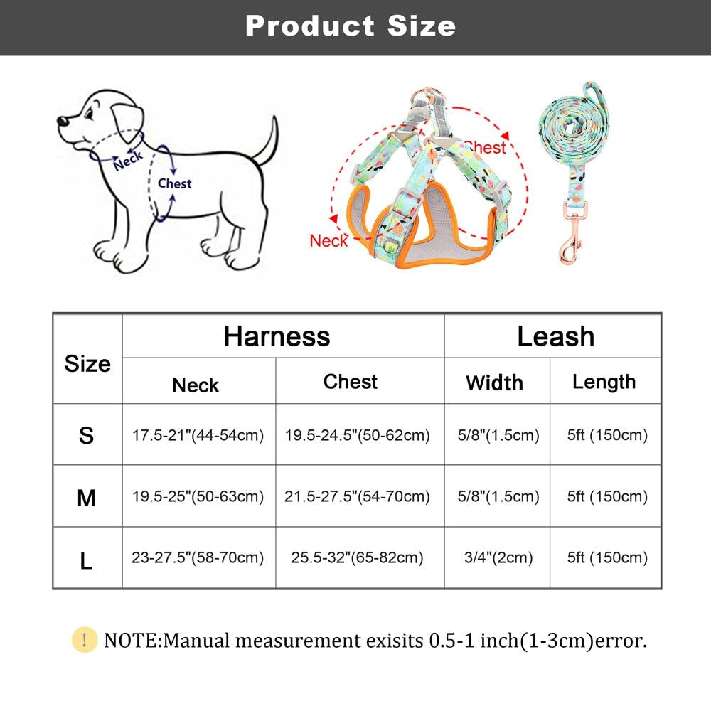Reflective Fruit Printed Dog Harness & Lead