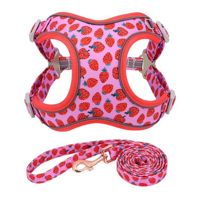 Reflective Fruit Printed Dog Harness & Lead