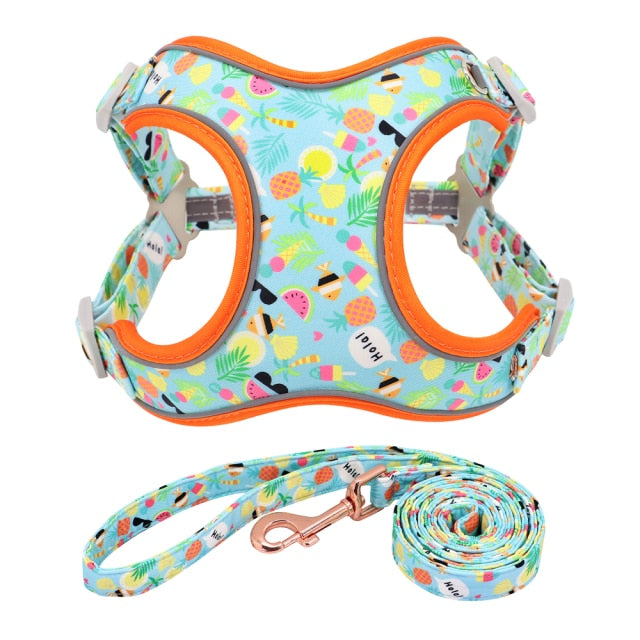 Reflective Fruit Printed Dog Harness & Lead
