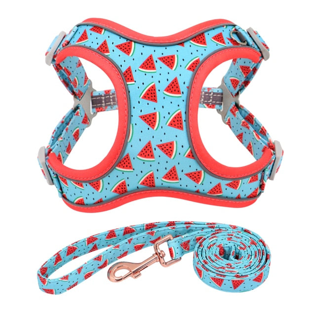 Reflective Fruit Printed Dog Harness & Lead