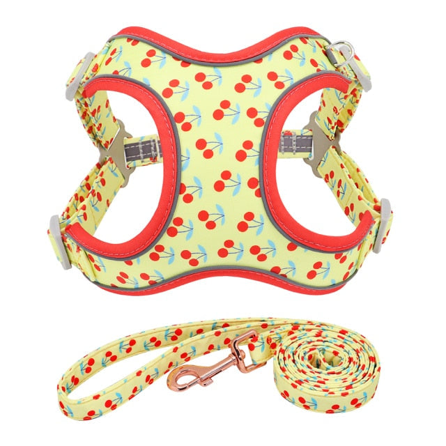 Reflective Fruit Printed Dog Harness & Lead