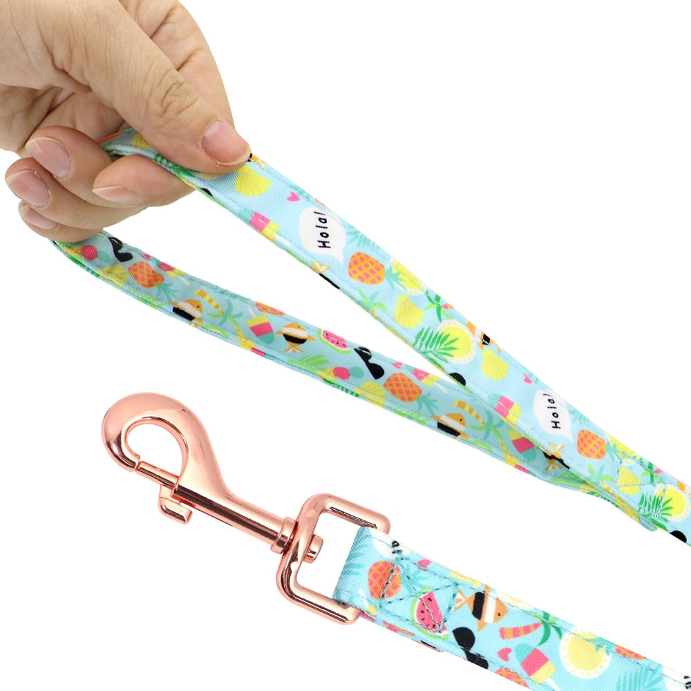 Reflective Fruit Printed Dog Harness & Lead