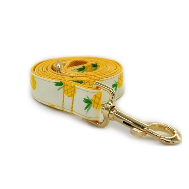 PINEAPPLE Engraved Dog Collar - Bark ¡®n¡¯ Paws